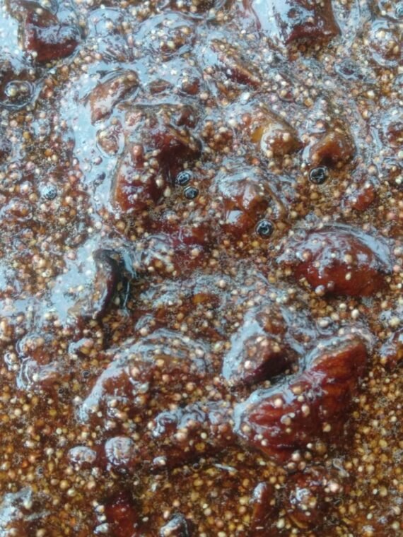 Naatu Athi thenooral (Figs soaked in Honey) 210 gm